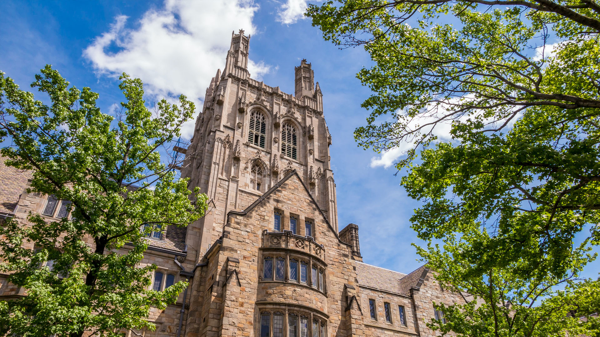 Gail Lavielle Launches Petition Campaign for Yale Corporation Alumni Fellow